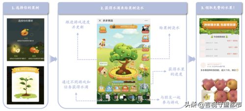 中央表彰脫貧攻堅先進，拼多多等互聯網企業彰顯社會責任